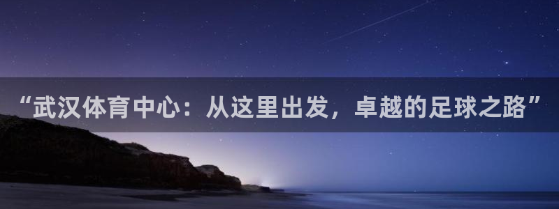 yy易游官网下载官方客服电话：“武汉体育中心：从这里