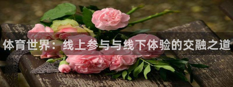yy易游官网下载平台假的吗是真的吗：体育世界：线上参与与线下