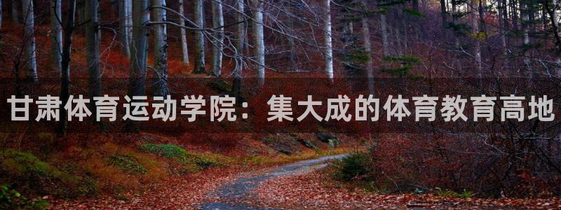 yy易游官方正版app代理：甘肃体育运动学院：集大成