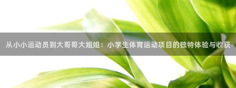 yy易游官网下载平台注册流程图：从小小运动员到大哥哥