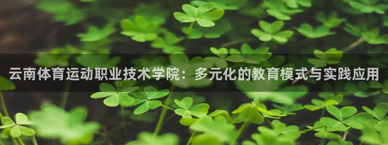 yy易游官方正版app集团E.ON：云南体育运动职业