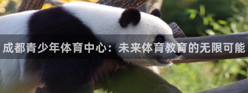 yy易游官网下载平台假的吗是真的吗：成都青少年体育中