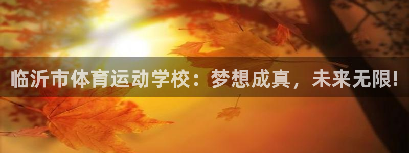 yy易游官网下载平台：临沂市体育运动学校：梦想成真，