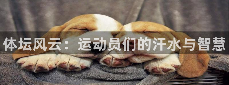 yy易游官方正版app科技：体坛风云：运动员们的汗水
