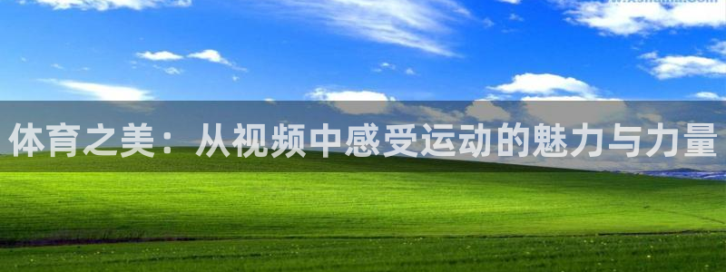 yy易游官网下载平台是正规平台吗：体育之美：从视频中