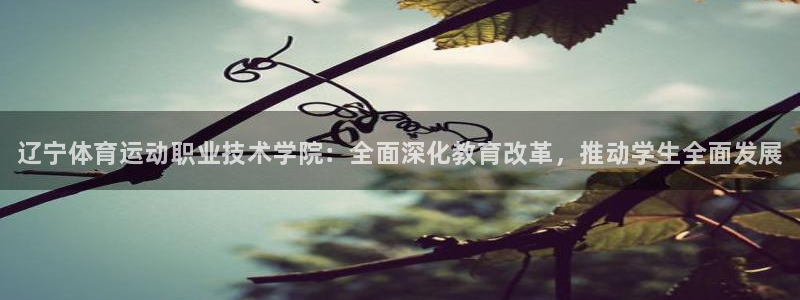 yy易游官方正版app娱乐首页网站大全：辽宁体育运动
