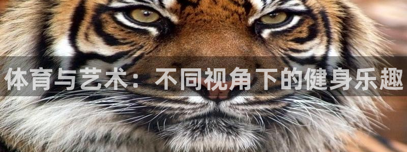 yy易游官网下载招商电话是多少啊：体育与艺术：不同视角下的健