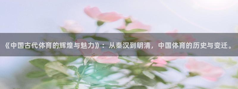 yy易游官方正版app娱乐是那个系列的台子：《中国古