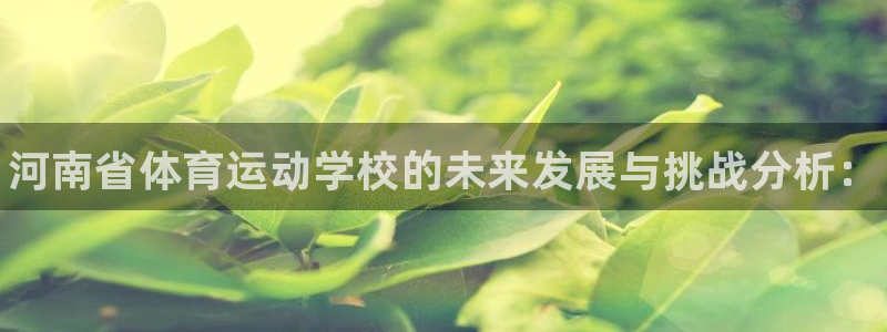 注册yy易游官方正版app：河南省体育运动学校的未来发展与挑