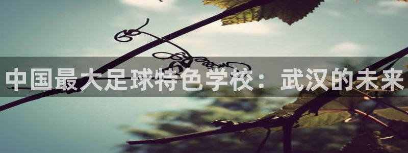 yy易游官网下载招商电话是多少号码：中国最大足球特色学校：武