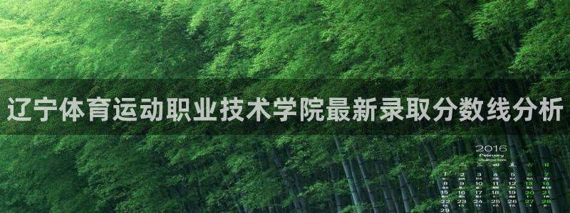 yy易游官方正版app娱乐是那个系列的台子：辽宁体育