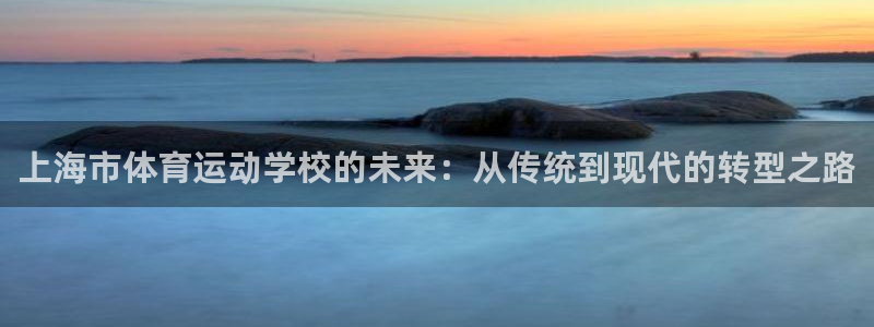 yy易游官网下载：上海市体育运动学校的未来：从传统到