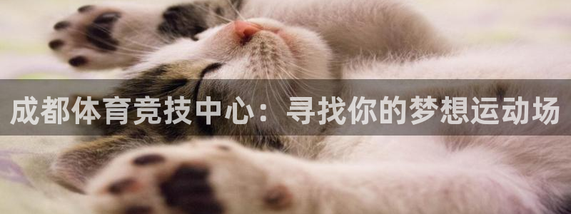 海南yy易游官网下载发展怎么样：成都体育竞技中心：寻找你的梦