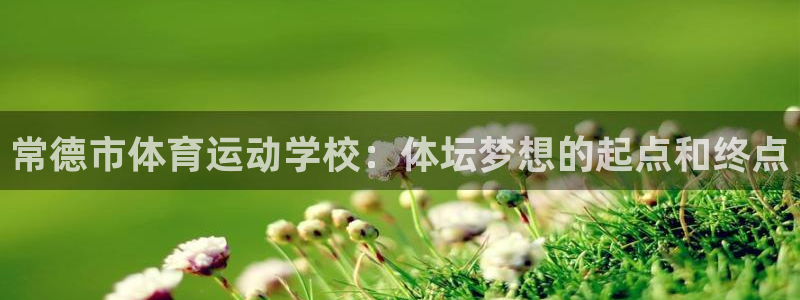 yy易游官方正版app集团logo：常德市体育运动学