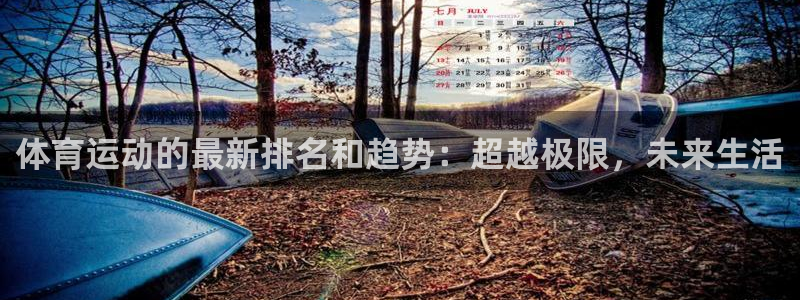 yy易游官方正版app娱乐首页官网下载：体育运动的最新排名和