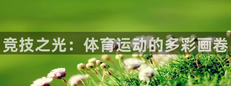 yy易游官网下载招商电话号码查询：竞技之光：体育运动的多彩画