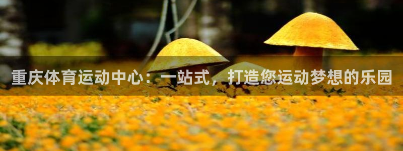 yy易游官方正版app集团E.ON：重庆体育运动中心