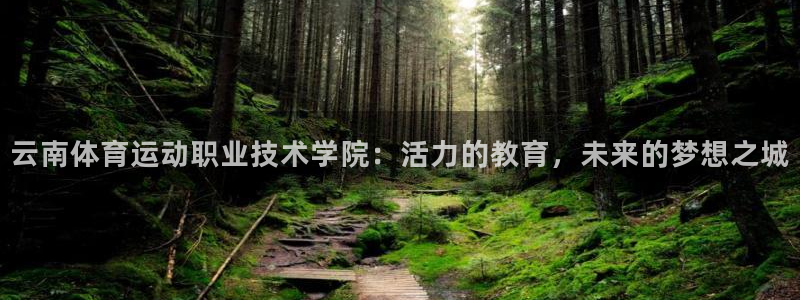 yy易游官方集团官网：云南体育运动职业技术学院：活力