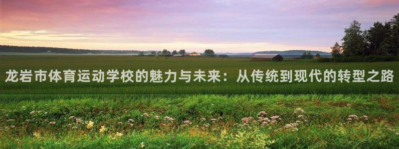 yy易游官网下载是干嘛的公司：龙岩市体育运动学校的魅
