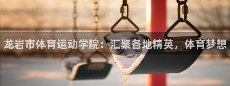 yy易游官方正版app娱乐下载：龙岩市体育运动学院：