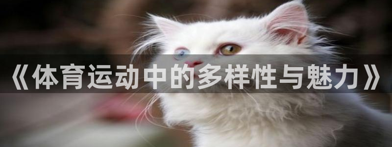 yy易游官网下载平台是正规平台吗知乎：《体育运动中的