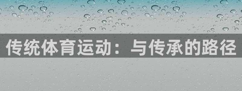 yy易游官网下载：传统体育运动：与传承的路径