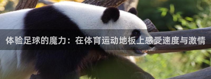 yy易游官网下载官方客服电话：体验足球的魔力：在体育