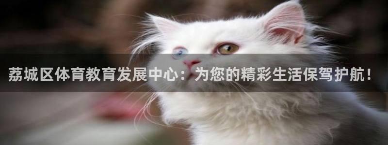 yy易游官网下载招商电话是多少号码：荔城区体育教育发展中心：