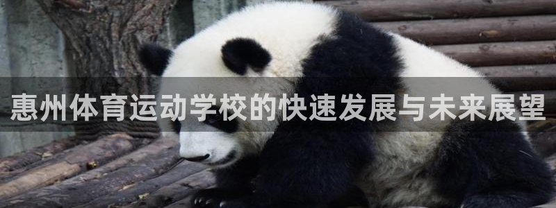 yy易游官方正版app娱乐40996：惠州体育运动学校的快速