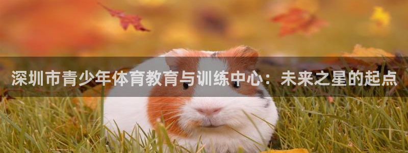 yy易游官网下载招商电话地址查询：深圳市青少年体育教育与训练