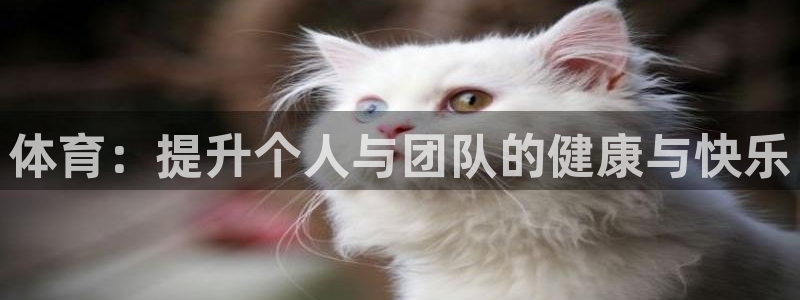 yy易游官网下载官方客服电话