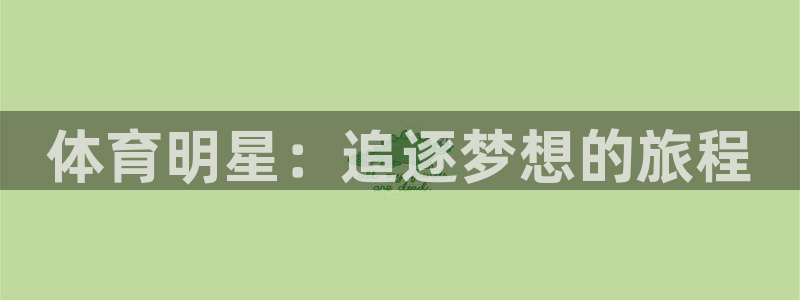 yy易游体育是什么