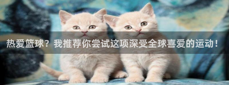 yy易游体育电竞