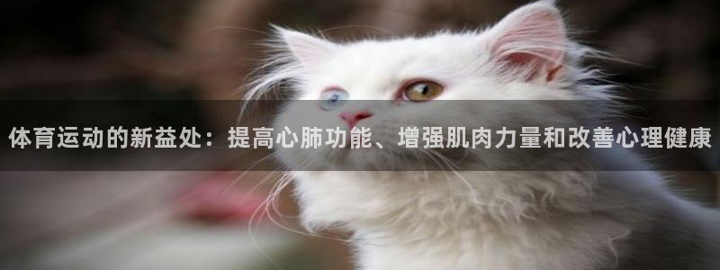 yy易游体育怎么样知乎