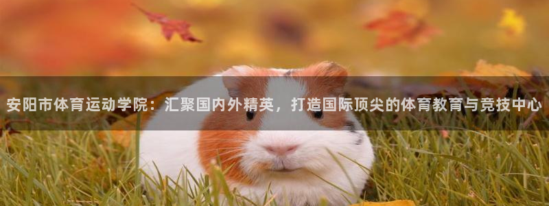 yy易游体育平台能提现吗