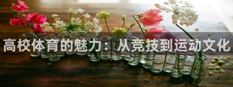 yy易游体育平台能提现吗是真的吗：高校体育的魅力：从竞技到运