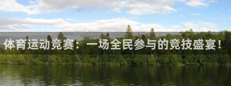 yy易游体育是正规的吗安全吗：体育运动竞赛：一场全民参与的竞