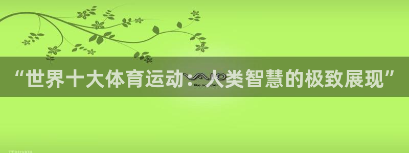 yy易游体育是正规的吗安全吗可靠吗：“世界十大体育运动：人类