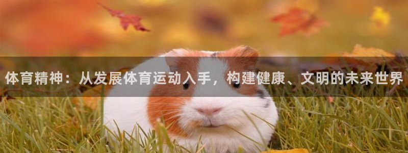 yy易游体育贴吧：体育精神：从发展体育运动入手，构建健康、文