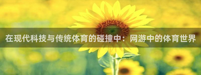  yy易游体育贴吧：在现代科技与传统体育的碰撞中：网游中的体育