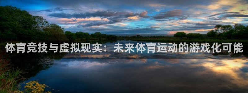 yy易游体育贴吧：体育竞技与虚拟现实