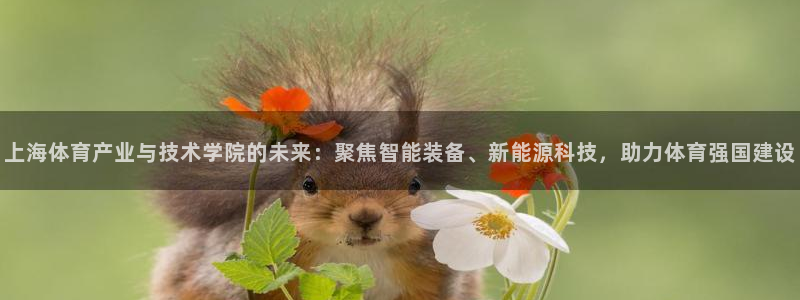  yy易游app最新版本更新内容分享：上海体育产业与技术学院的