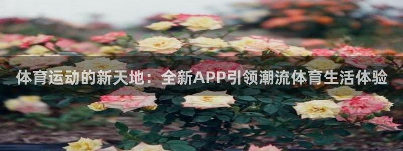  yy易游app最新版本更新内容分享：体育运动的新天地：全新A