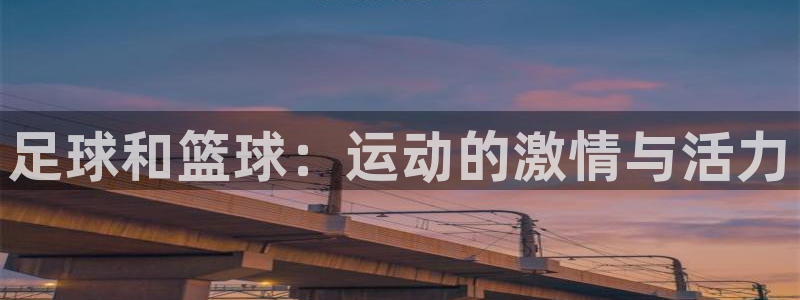 yy易游app最新版本更新内容分享：足球和篮球：运动的激情与