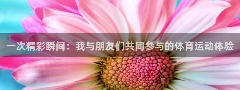 yy易游体育怎么样知乎：一次精彩瞬间