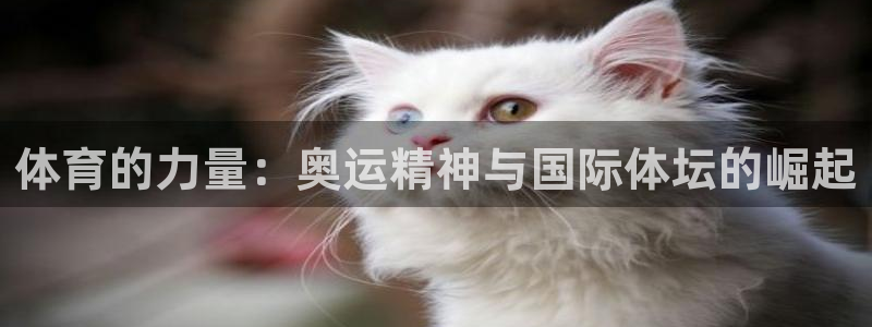  yy易游体育怎么样知乎：体育的力量：奥运精神与国际体坛的崛起
