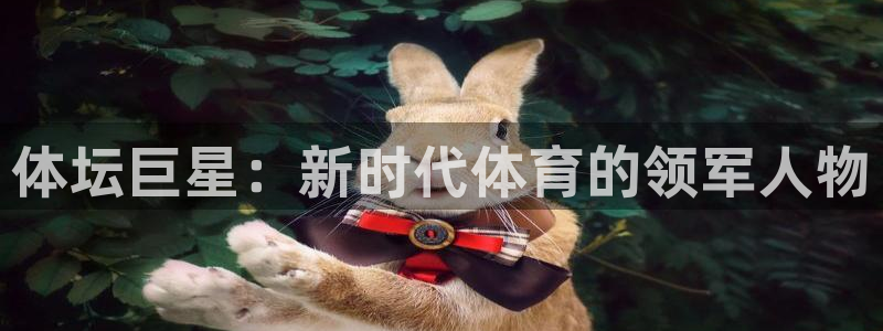 yy易游体育电竞登录不上去怎么办：体